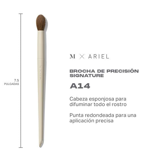 Morphe X Ariel Brocha A14